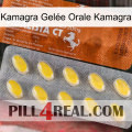 Kamagra Gelée Orale Kamagra 42